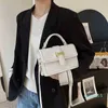Designer borsa di moda di lusso primavera donna piccolo messaggero tessuto testurizzato quadrato