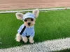 Дизайнерская шляпа для собак Pets Baseball Cap для маленькой собачьей собаки вышитая буква