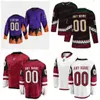 Anpassad ishockey 44 Zack Kassian 9 Clayton Keller Jersey 18 Logan Cooley 81 Phil Kessel Blank Sport Uniform Long Sleeve Black Reverse Retro Ed