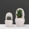 Creative Ceramic Toilet Flower Pot DIY Design Planter for Succulents Plants Gardening Small Flowerpot Home Office Decor H2204235942295