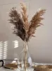 Fiori decorativi ghirlande da 30 pezzi di grano vero grano naturale asciugata pampas tavolo da erba grande decorazione coda boho decorazione domestica decorativa de