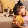 Nowe symulowane koty lalki jak prawdziwa śliczna pluszowa zabawka Brązowa żółta kolory leżące sit dzieciom pocieszający prezent na pluszę J220704