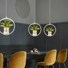 Modern Pendant Lamp Led Water Accompanying Plant Pendant Lamps Fixtures Restaurant Kitchen Dining Living Bedroom Decor Bar Table