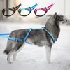 Colarinho de cachorro colares de tesado de estimação à prova d'água cães reflexivos de cães puxando quente acolchoado para treinamento de inverno scooteringdog
