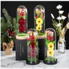 Ghirlande di fiori decorativi Bellissima lampada da tavolo a LED alimentata a batteria in vetro rosa con stringa di luce Lampada da scrivania Romantica San Valentino Compleanno Gi