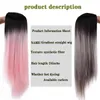 Hair Synthetic Wigs Cosplay Shangke Synthetic Long Straight Black Middle Part Wig Heat-resistant Fiber Two-tone Cosplay Party/daily for Women 220225