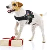 Toppa per cani personalizzabileManiglia di facile controllo e toppe personalizzate regolabili con supporto per gancio Nome 220622