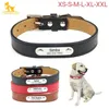 Personalisiertes Hunde-ID-Halsband, individueller Kosename, kostenlose Gravur, echtes Lederhalsband für kleine, mittelgroße und große Hunde, Pitbull, Katze, XXL 220610