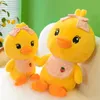 55cm New cute duck plush toy doll scarf fruit duck dolls children's soothing gift