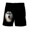 shorts de boxers engraçados