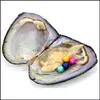 Collier de nom personnalisé perle perles en vrac bijoux huître Akoya 6-7Mm ronde en coquille d'huîtres avec perles Colouf par lot de 16 pièces emballées sous vide