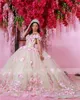 2022 Blush Pink Pearls Fiori 3D floreali Abiti Quinceanera Treno lungo Off The Shoulder Nude Fodera Prom Ball Gown Sweet 16 Dress 15 Girls