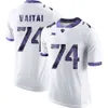 NCAA Custom TCU Horned Frogs 대학 축구 유니폼 Taye Barber Jersey 6 Darius Anderson 13 Justin Rogers 33 Sewo Olonilua Alex Delton Stitched