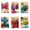 Decorative Flowers & Wreaths 1 Pack Crystal Epoxy Filler Dry Flower Mixed Nail Stickers Decorations Resin Filling Material Crafts Art Jewelr