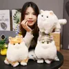 Life Cats Cles Cuddle Filled Simulation Sweet Cat Doll Real Life Pet Toys Home Decoration Birthday Present for Girls Baby Kids J220704