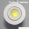 Fuaye Yaşayan Oturma Göstergesi Mikro Minyatür Küçük Ayarlanabilir Açık Tavan Mini Downlight Cob Dimmable Down Light2207026