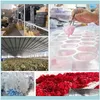Wedding Decorative Wreaths Festive Party Supplies Home & Garden1 High Quality Preserved Flowers Immortal Rose 4 Cm Diameter Mothers Day Of Eternal