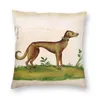 Yastık/Dekoratif Yastık Ortaçağ Greyhound Sihthound Hunt Square Case Ev Dekoratif Whippet Köpek Yastık Kapağı Sofacushion/Deco