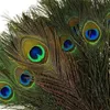 Elegant decorative materials decorative Feather Beautiful Peacock Feathers about 25 to 30 cm Novelty Items