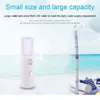 Portable Nano Mist Sprayer Ansiktskropp Nebulisator ångare Fuktighet och hudvård Mini 30 ml Face Spray Beauty Instruments 220507