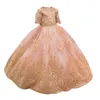 Robes de fille jolie robe de bal princesse fille de fleur pour le mariage 3D floral appliqué enfant en bas âge pageant longueur de plancher plffy tullegirl's