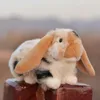 Моделирование зайца с длинной ушаркой кроличьей куклы белый кролик плюшевый игрушечный тумбардинг кукла кукла.