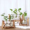 Glass and Wood Vase Planter Terrarium Table Desktop Hydroponics Plant Bonsai Flower Pot Hanging Pots with Wooden Tray Home Decor 220423