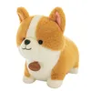 2022 Super Cute Cartoon Corgi Peluche Big Fat Dog Doll Cuscino per dormire Cucciolo Bambola per ragazza Regalo per bambini 35 pollici 90 cm