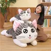 Hayvanlar 20100cm 6 Styles Chi'skitty Cat Peluş Peluş Karikatür Oyuncakları Dolgulu Yumuşak Hayvan Bebekleri Peynir Yastığı Yastıkları Çocuklar İçin