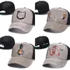Projektant Snake Tiger Bee Cat Class Baseball Hat Wysokiej jakości płótno mężczyźni kobiety mody liter baseball Caps244H