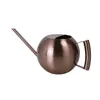 1L Stainless Steel Watering Pot Gardening Potted Small Can With Handle For Plants Flower Garden Tool 220813
