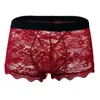 Caleçon Homme Sexy Sous-Vêtements Tentation Transparent Dentelle Dos Maille Taille Basse Petit Boxer Slip Rôle Swap Alternative PerformanceUnde