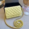19CM Womens Wallet With Two-tone Chain Card Holder Bags Classic Mini Flap Quilted Gold Matelasse Chain Crossbody Shoulder Luxury Designer Clutch Purse Handbags