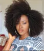 Afro Winky Wave Wigs African Curly Hair Curl Spiral Spiral Curl