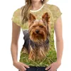 T-shirt maschile Fashion adorabile animale per cani animali 3d uomini/donne t-shirt estate o scollo corto a maniche di grandi dimensioni uomini uomini colpi tops tee xxs-