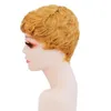 Menschliche Haarpixie geschnittene Perücken für schwarze Frauen kurz blonde Nicht -Spitzen -Front Perücke Vollmaschine Perücken