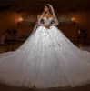 Robes de mariée de luxe robe de bal à manches longues grandes train en tulle