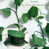 Plantadores potes de planta clipe clipes de fixação de garda suporte vegetal clipe de ligação videiras invisíveis videiras autoadesivas xb1