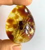 Kolye Kolye 58 23mm Doğal Meksika Amber Balmumu Kaba Taş% 100 Sertifikalı Pener