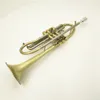 Trompeta profesional Bb Tune Latón Chapado en oro Superficie Instrumentos musicales profesionales con estuche