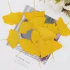 Flores decorativas grinaldas de folhas de plantas secas Flores prensados ​​Ginkgo Biloba Amose