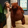 Pc Cm Soft Teddy Bear Peluche Marrone scuro Super Large Cuscino coccolone Cuscino animale Regalo di compleanno per bambini J220704