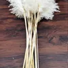 Flores decorativas grinaldas cor creme de 60 cm de pampa grama fofo seco decoração natural decoração bouquet boho sala de estar decoração giftDecorat