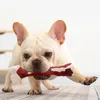 PetDelight Stick molare in gomma con osso giocattolo per cani - Elimina alito cattivo, resistente ai morsi, design di simulazione - WH0624