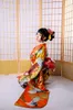 Etnische kleding vibratie mouw vrouwen kimono formele jurk herfst winter verdikte stoffen voorwerp gunstige cloud crane brocade show kimonno