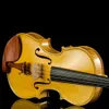 이탈리아 공예 V06W 바이올린 4/4 전문 수준 테스트 레벨 초보자 연주 수준 수제 학생 바이올린 악기