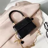 Pattern Mini Crossbody Bags for Women Fashion All-match Chain Designer Shoulder Messenger Bags Purses and Handbags 220624