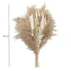 Couronnes De Fleurs Décoratives 30pcs Branches De Bouquet De Fleurs De Pampa Séchées Naturelles Boho Po DeCor Maison Pour La Fête De Mariage Fleurs Sechees Exotic A