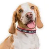 Regulowane produkty nylonowe kołnierze dla psów za darmo haftowane imienia psa spersonalizowane szczeniak średnie duży obroża unisex dla psów 220610