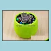 Novo Plantador Pots Reciclados Plástico Perfeito para Succidores Forte Planta Reusável Flor de Flor Herb Bed Pot Drop entrega 2021 Plantadores Garden Supply